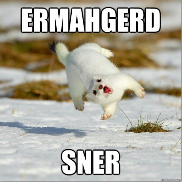 sner meme